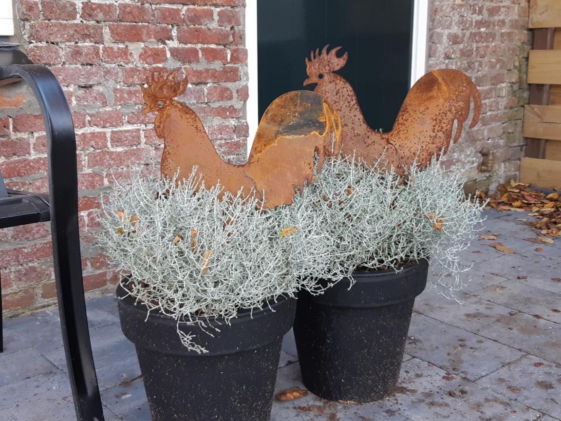 Villa Waddenfestijn Paesens Esterno foto